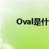 Oval是什么意思（oval是什么意思）