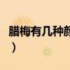 臘梅有幾種顏色分別是哪些（臘梅有幾種顏色）