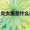 處女座是什么象星座（我是處女想做一次20）