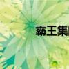 霸王集團(tuán)百度百科（霸王集團(tuán)）