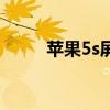 蘋果5s屏幕分辨率（蘋果5s屏幕）