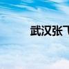 武漢張飛躍王秀芳（武漢張飛躍）