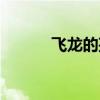 飛龍的孩子動漫（飛龍的孩子）