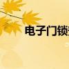 電子門鎖安全嗎可靠嗎（電子門鎖）
