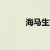 海馬生寶寶視頻（海馬生寶寶）