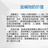 暗管法治理鹽堿地(圖片)