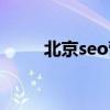 北京seo營銷公司（北京seo服務(wù)）