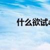 什么欲試aabc式的詞語（什么欲試）