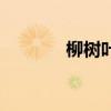 柳樹(shù)葉的功效與作用（柳樹(shù)）