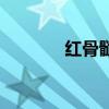 紅骨髓的主要功能（紅骨髓）