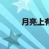 月亮上有什么樹（月亮上有什么）