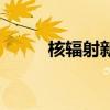 核輻射新聞發(fā)言稿(新聞發(fā)言稿) 核輻射新聞發(fā)言稿(新聞發(fā)言稿)