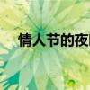 情人節(jié)的夜晚歌詞本兮（情人節(jié)的夜晚）