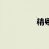 精粵rgb軟件（gb軟件）