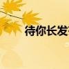 待你長發(fā)齊腰歌詞（待你長發(fā)齊腰）