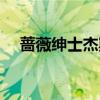 薔薇紳士杰斯手感（薔薇紳士杰斯特效）