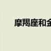 摩羯座和金牛配嗎（摩羯座配金牛座）