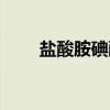 鹽酸胺碘酮說明書（胺碘酮說明書）