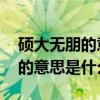 碩大無朋的意思是什么 標(biāo)準(zhǔn)答案（碩大無朋的意思是什么）