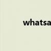 whatsapp翻譯插件（翻譯插件）