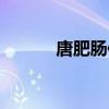 唐肥腸傳奇百科（唐肥腸傳奇）