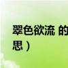 翠色欲流 的意思是（翠色欲流的欲是什么意思）