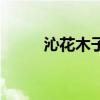 沁花木子去角質(zhì)慕斯（沁花木子）
