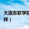大連東軟學(xué)院怎么樣知乎（大連東軟學(xué)院怎么樣）