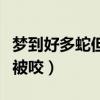 夢到好多蛇但是沒被咬死（夢到好多蛇但是沒被咬）