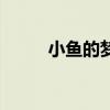 小魚的夢是什么樣的（小魚的夢）