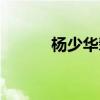 楊少華輩分爭議（楊少華輩分）