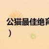 公貓最佳絕育時(shí)間一歲半(公貓最佳絕育時(shí)間) 公貓最佳絕育時(shí)間一歲半(公貓最佳絕育時(shí)間)