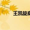 王凱旋身上的玉佩（王凱旋的玉）