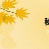 秘訣的拼音（秘訣）