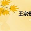 王宗景殺了張小凡（王宗景）