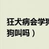 狂犬病會(huì)學(xué)狗叫嗎?原因大揭秘!（狂犬病會(huì)學(xué)狗叫嗎）