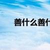 善什么善什么的詞語（善什么善什么）