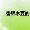 香脂木豆的香味是怎么樣的（香脂木豆）