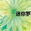 迷你羅斯特圖片（迷你羅斯特）