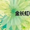 金長虹電動伸縮門（金長虹v7）
