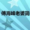 傅海峰老婆簡(jiǎn)介百度百科（傅海峰老婆簡(jiǎn)介）
