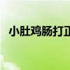 小肚雞腸打正確生肖（小肚雞腸打一生肖）