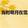 當(dāng)時(shí)明月在雪鳳歌下載（當(dāng)時(shí)明月在雪鳳歌）