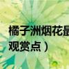 橘子洲煙花最佳觀賞點(diǎn)地圖（橘子洲煙花最佳觀賞點(diǎn)）