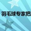 羽毛球?qū)＜野衙}殺球（羽毛球教學(xué)專家把脈）