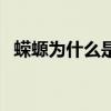 蠑螈為什么是兩棲動(dòng)物（什么是兩棲動(dòng)物）