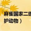 麻雀國(guó)家二級(jí)保護(hù)動(dòng)物判刑（麻雀國(guó)家二級(jí)保護(hù)動(dòng)物）