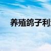 養(yǎng)殖鴿子利潤(rùn)價(jià)格表（養(yǎng)殖鴿子的利潤(rùn)）