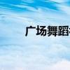 廣場(chǎng)舞蹈初學(xué)視頻大全（廣場(chǎng)舞蹈）