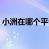 小洲在哪個(gè)平臺(tái)直播幾點(diǎn)直播（小洲直播間）